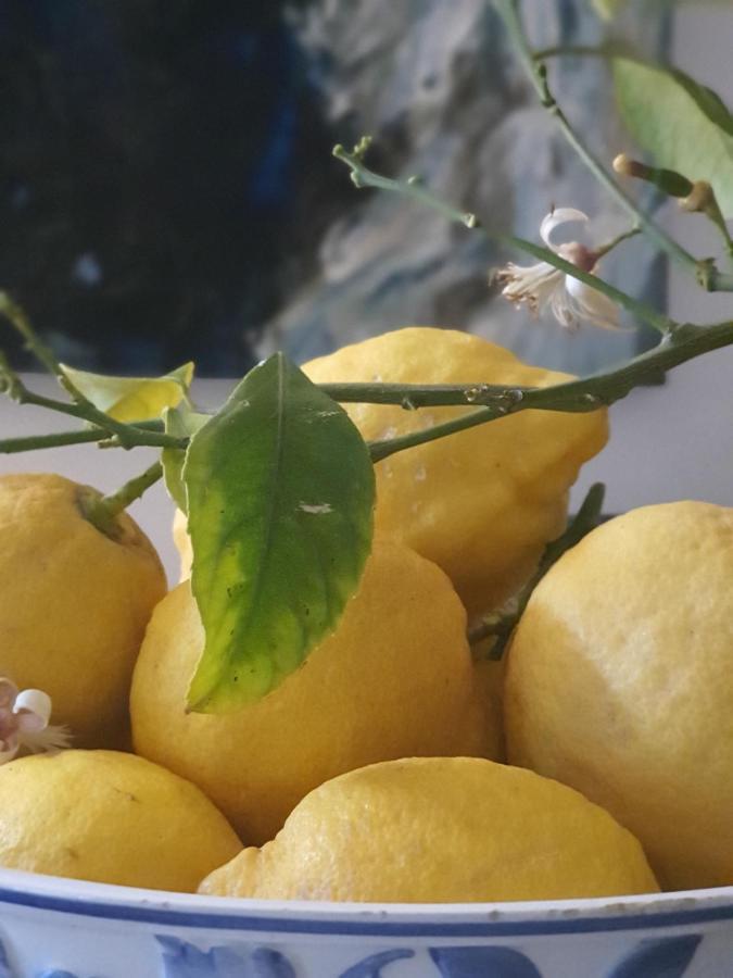 Hotel Nautilus Capri Zewnętrze zdjęcie